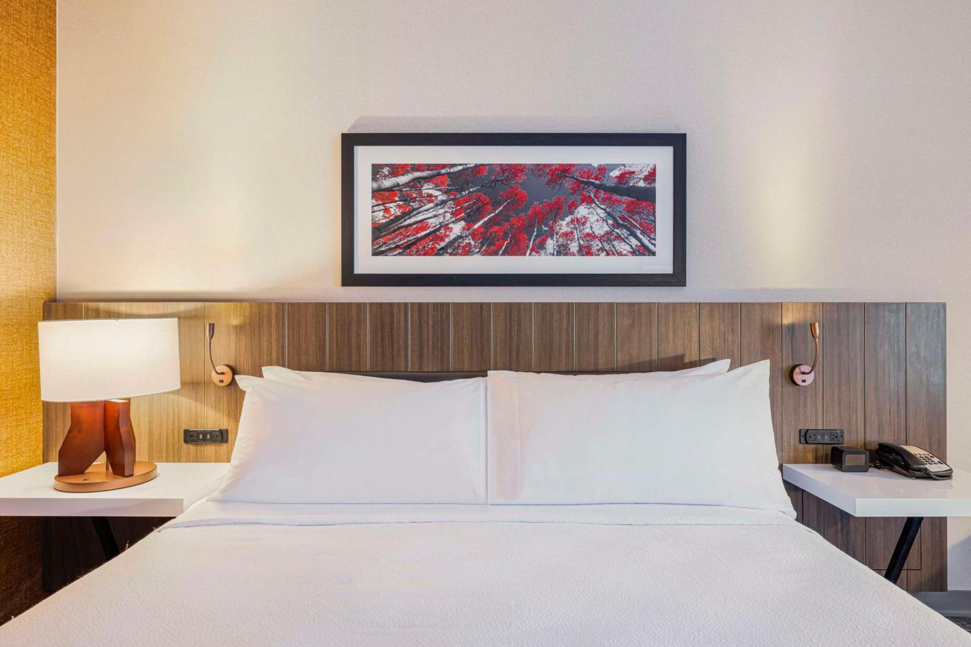 Hilton Garden Inn Colorado Springs Airport Εξωτερικό φωτογραφία